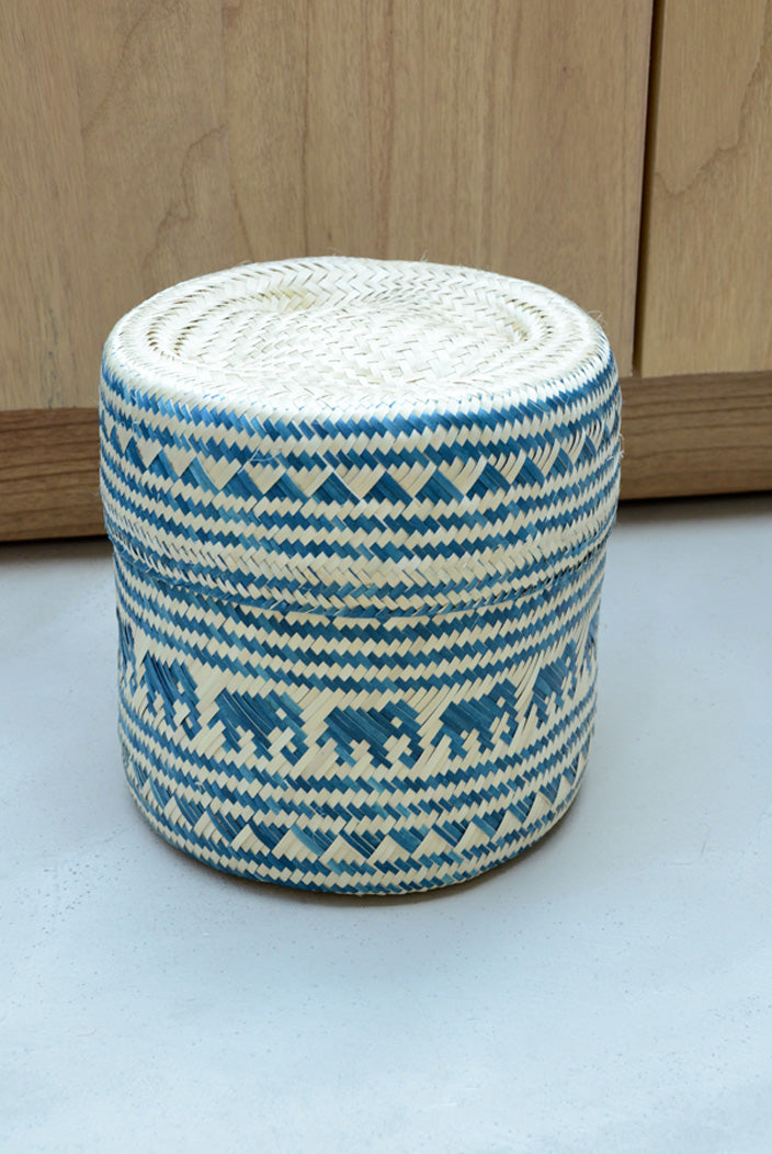 Tenate M - Bleue